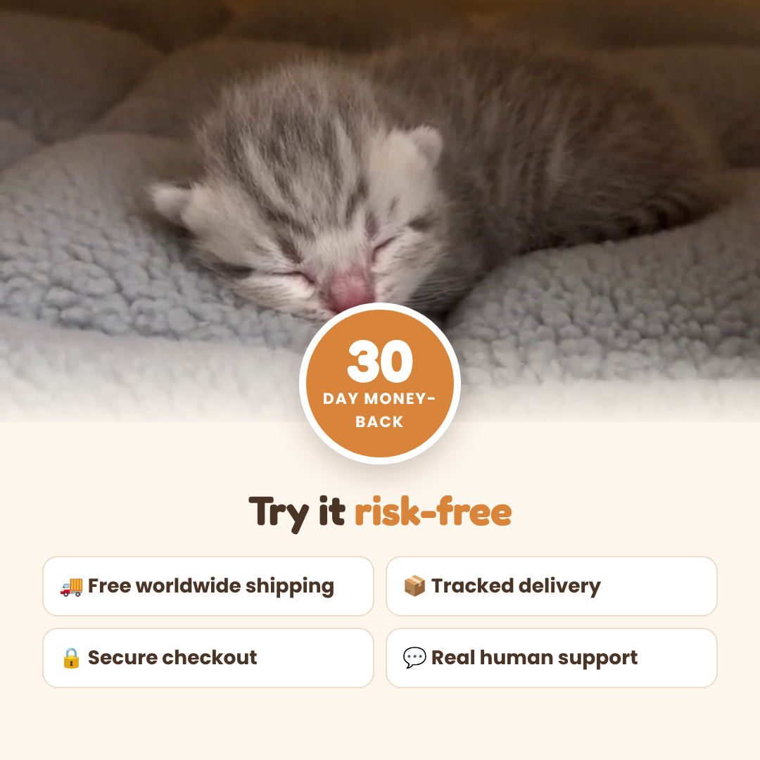 Merry Meow Heated Cat Pad