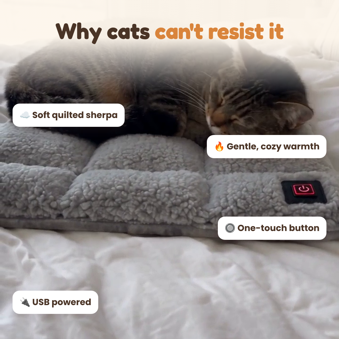Merry Meow Heated Cat Pad
