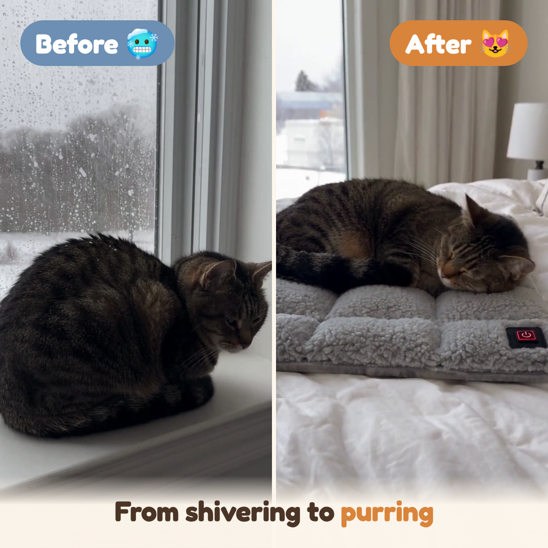 Merry Meow Heated Cat Pad